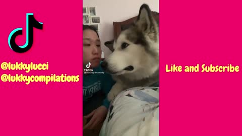 Tiktok compilation best of take a bite challange