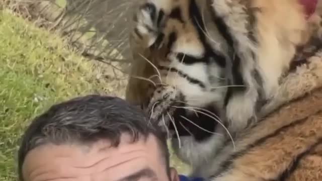 Two best friends video 🐯😀😀