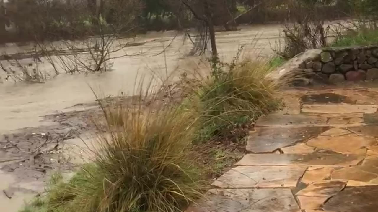 Napa (Oakville) Flooding 1