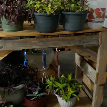 Homemade Plant Stand