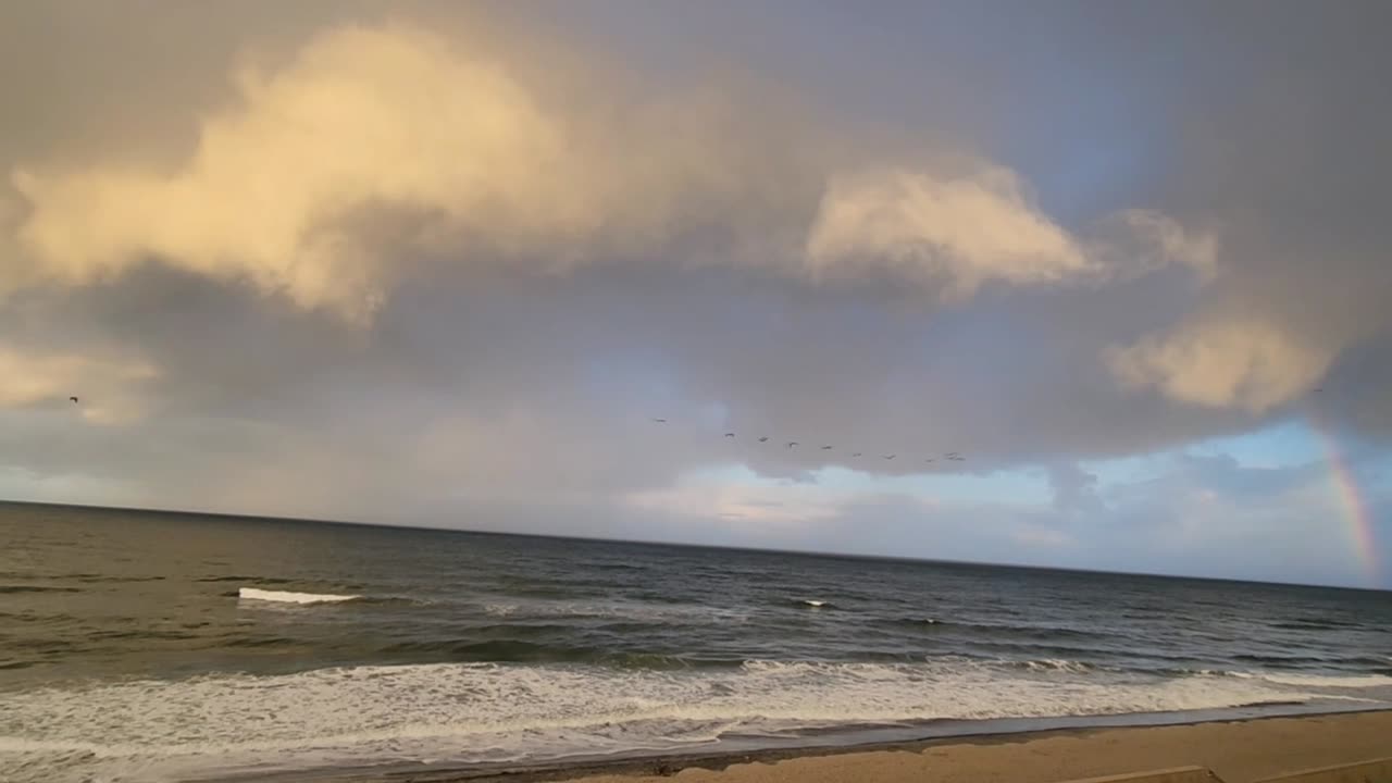 The Ocean Clouds