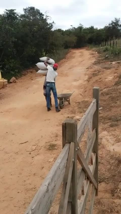 ae que burro da zero pra ele