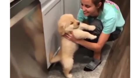 Puppy won't leave until he is kissed