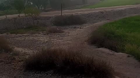 Train ka safar
