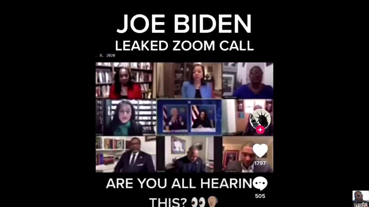 Biden's leaked Zoom call