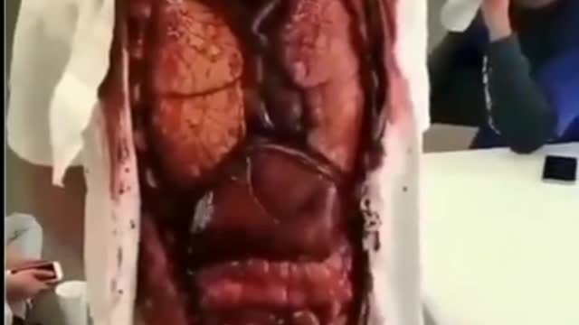 Terrifying - Future Doctor