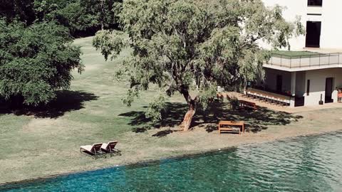 Wild Buffalo - Song By Magic In The Other