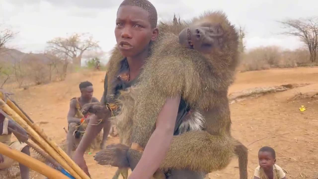 WILD Baboon Monkey HUNT