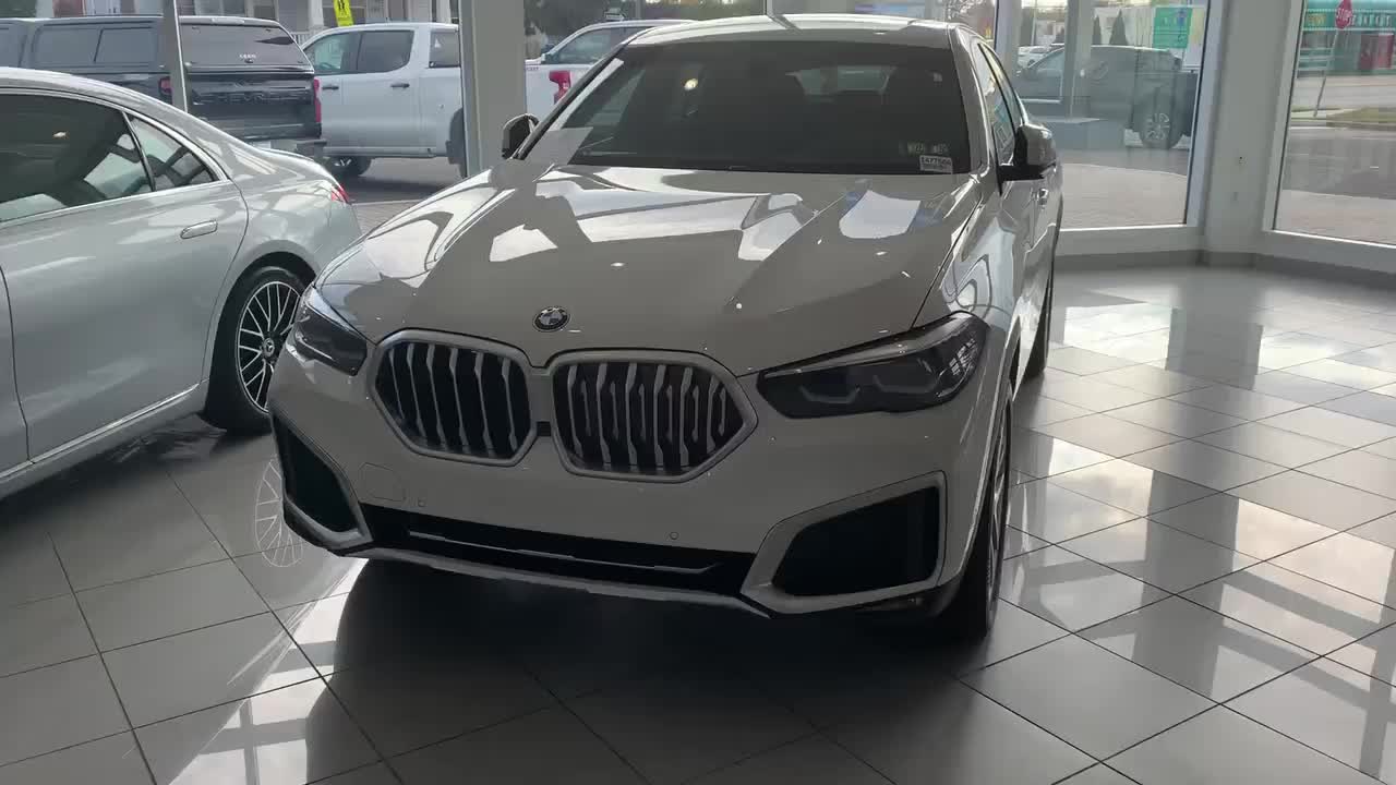 BMW by Jack the Irish wolfhound