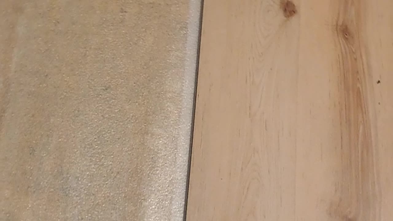 Flo Room - May 14, 2024