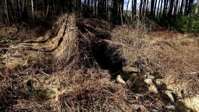 A QUIET WALK ALONG THE CATSKILL MOUNTAIN BACKROADS AND FARMS