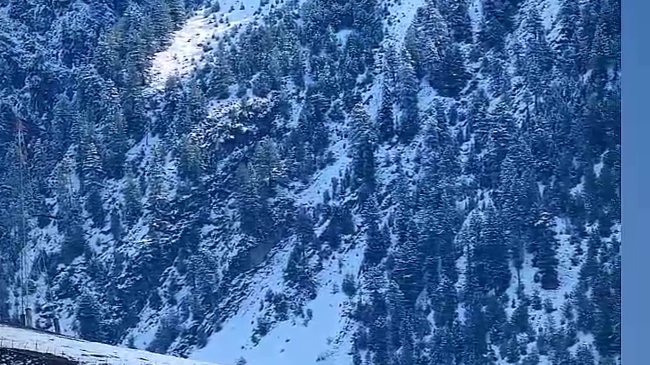 Beautiful view# kashmir# enjoy