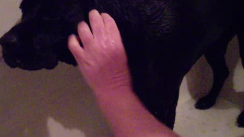 Luci Lu Deer Poop Bath Part 1