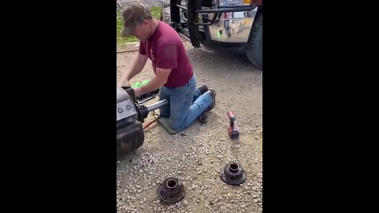 Racoon and Man Awesome Friendship