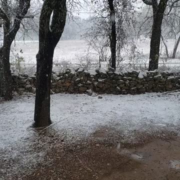 Snow Day "Just Outside" of Austin