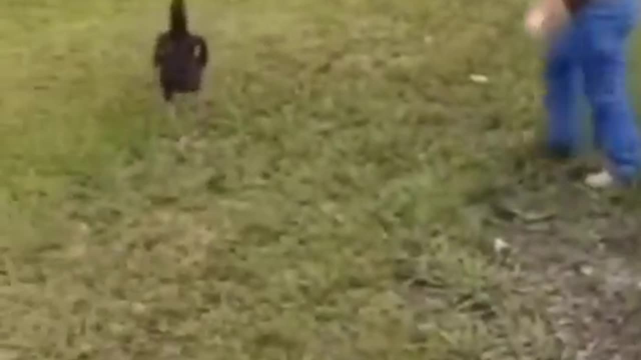 cute kid carrying duck and rabbit