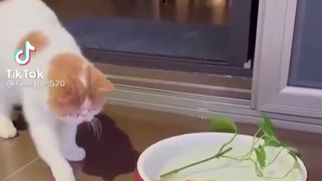 Doing the right thing look