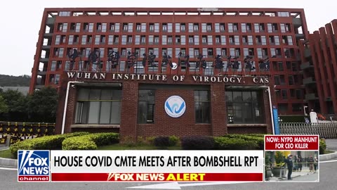 Bombshell COVID report reveals potential coverups🍿🍿🍿🍿✈️