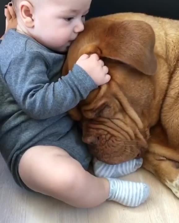 Bebé y perro comparten un increíble vínculo