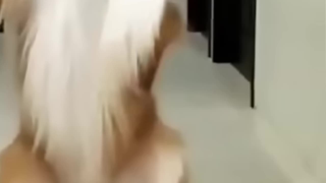 Dog 🐕 funny dancing video 🤣🤣🤣.