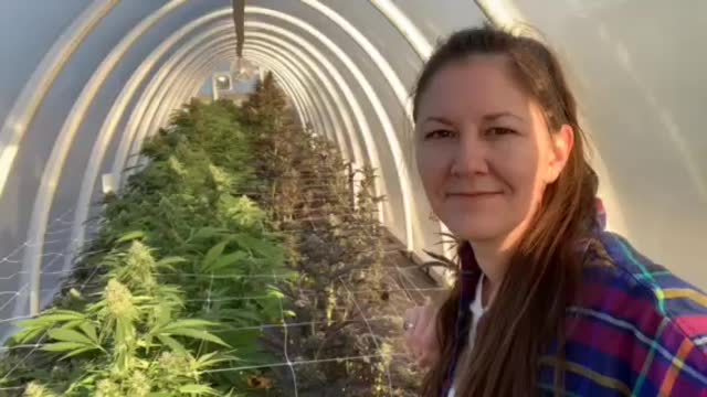 Medical Cannabis Farm Tour in Oklahoma