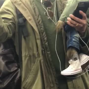 Man holds wolf stuffed animal in green jacket
