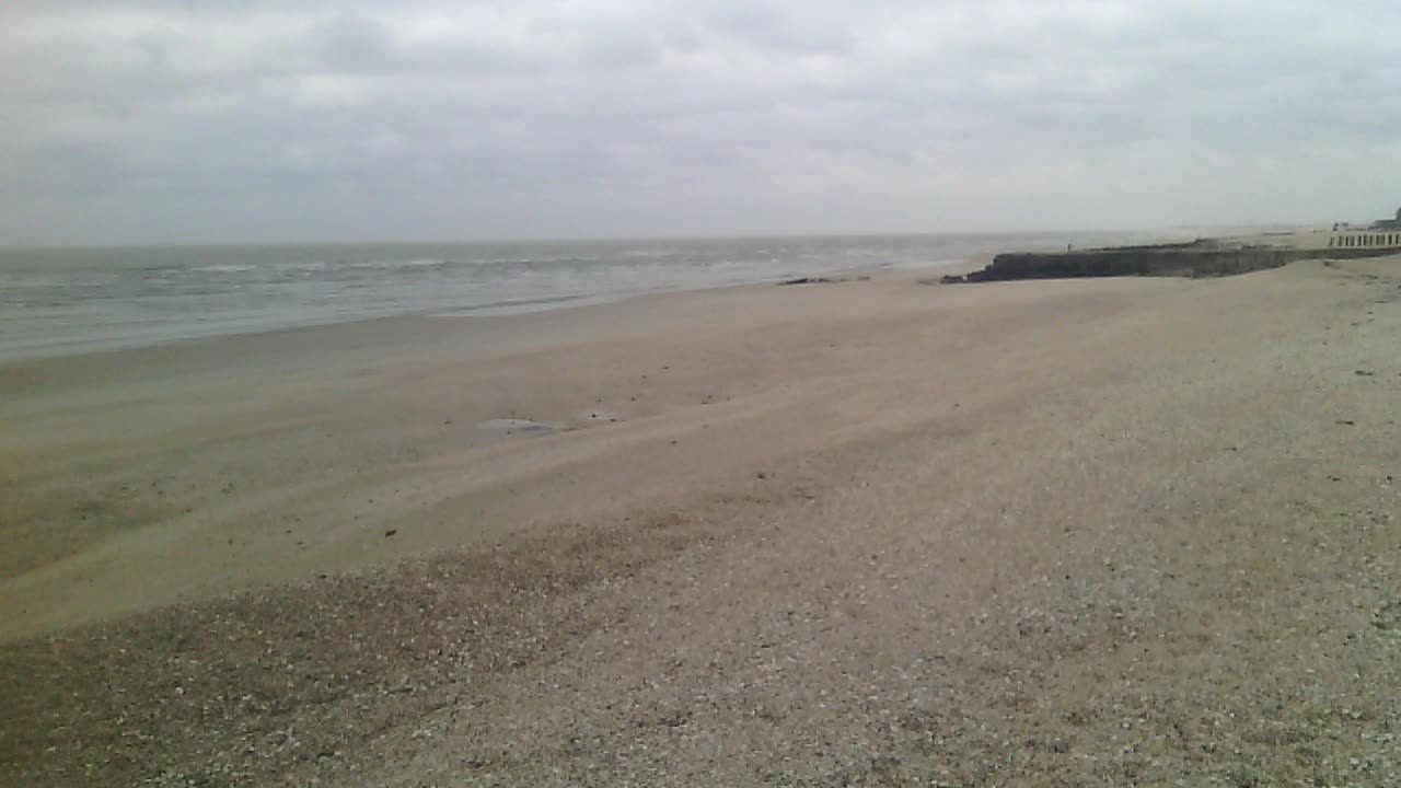 beach and sea