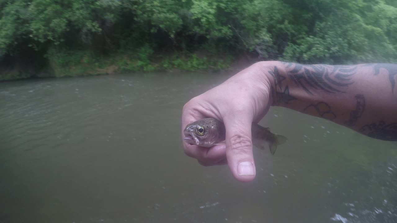 Lil baby Trout talk