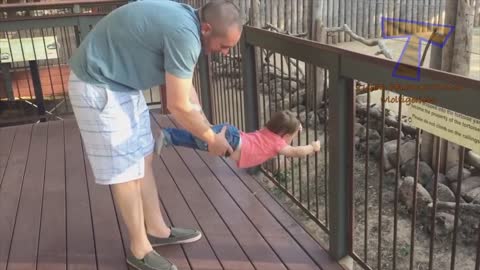 Funny kids and Zoo Animals