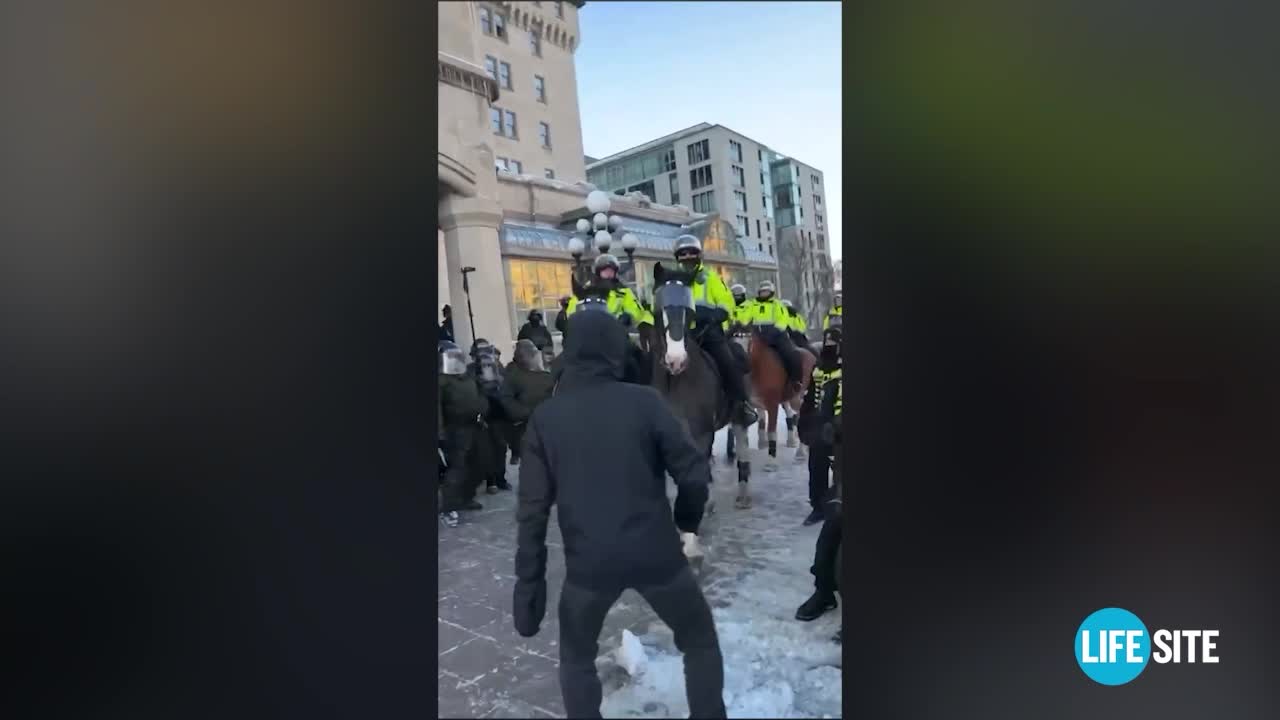 Ottawa Police on horseback trample Freedom Convoy protesters