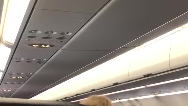 American Airlines threatens to DUMP passengers off the flight