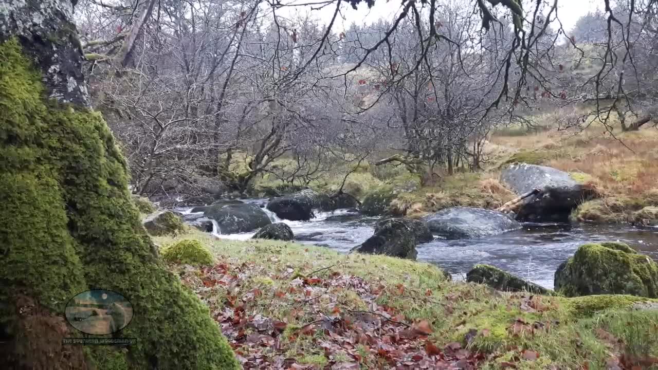 Wildcamping in Dartmoor Jan 2019