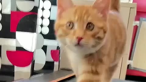 Run quickly