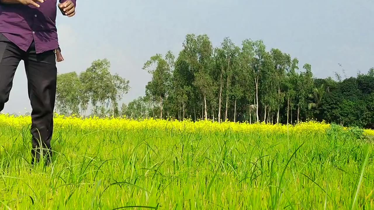 Fast time reels video trying. Please support me.