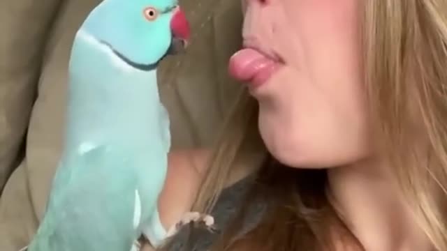 beautiful birds and beautiful parrot