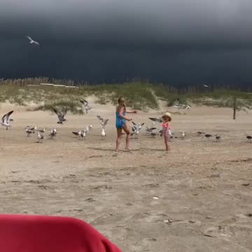 Feeding seagulls Atlantic Beach, NC