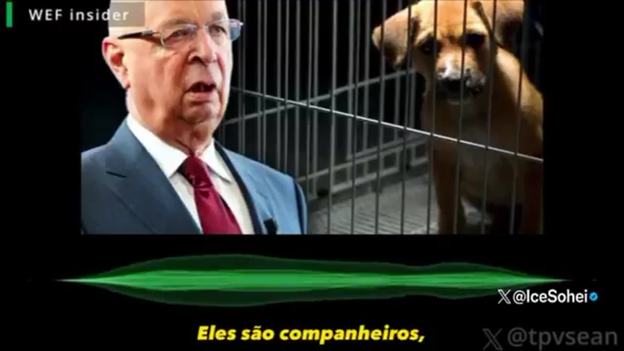 🚨 WEF ordena o abate de animais de estimação de cidadãos com baixa pontuação de crédito social 🐶🐱