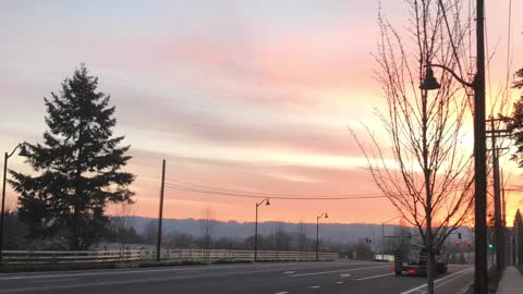 The Bible reading of the day: Exodus 21:12-36 and Mathew 28:16-20