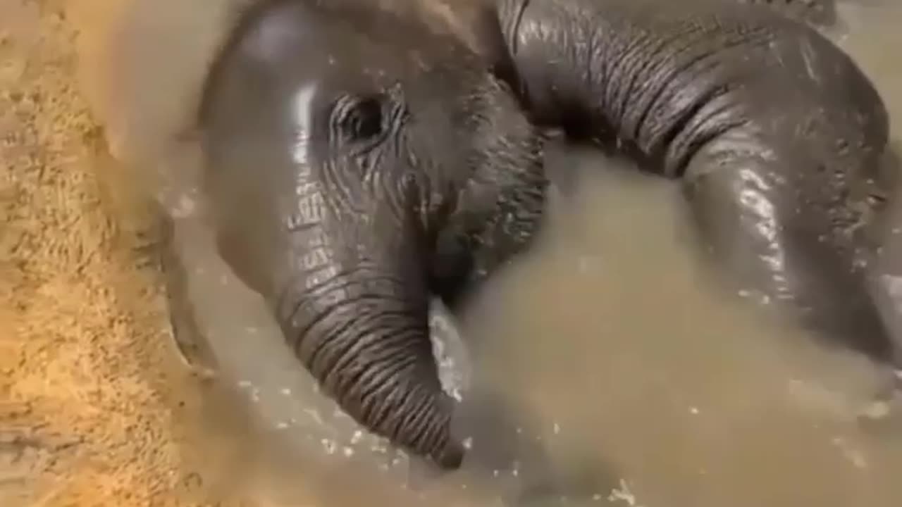 Baby Bath