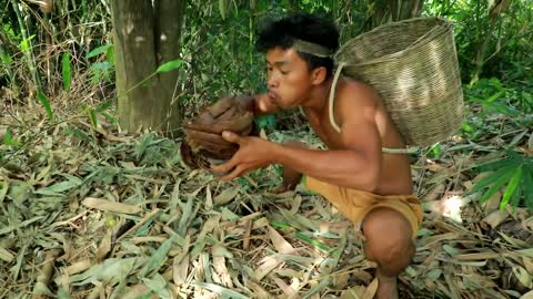 Survival In The Rainforest _ BAMBOO SHOOTS - CUTE PARROT _BEES😱