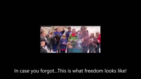 Freedom For All