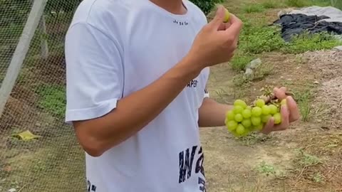 Just watch you will laughing #1