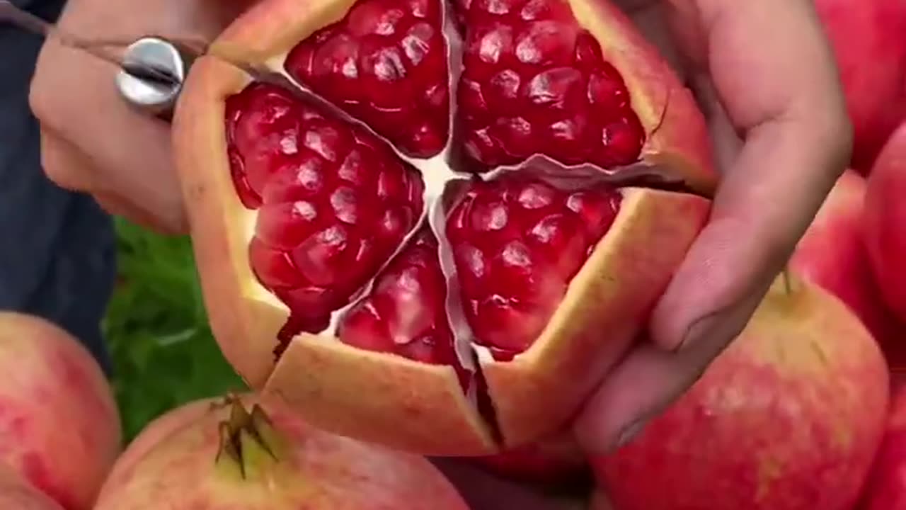 Very fresh and sweet pomegranate - For fruit lovers 11