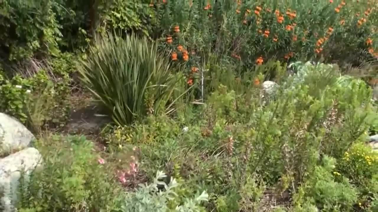 Most Beautiful Gardens In the World -Video _ Top 10 _