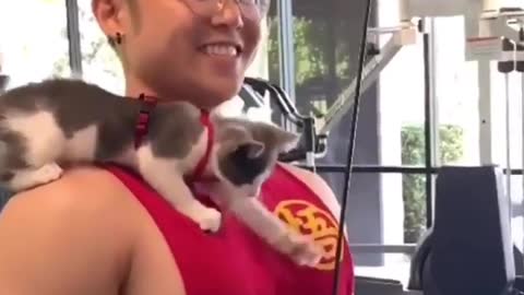 Gym Kitten 🏋️‍♀️ Love cats? Like & Share