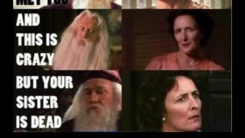 Just Hilarious Harry Potter Memes #1