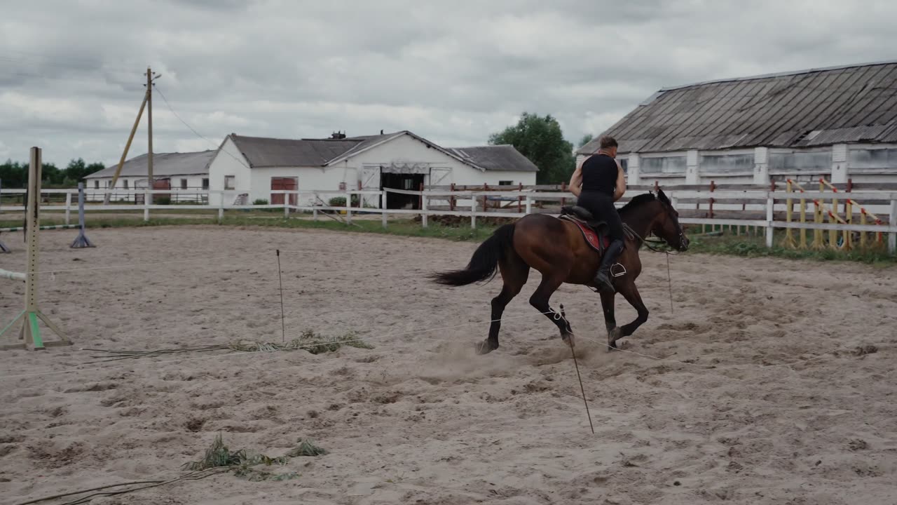 Beautiful horse riding