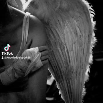 SOMEDAY YOU REALIZE 💛🩵💫💜