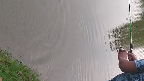 fishing strike fish