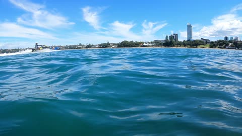 Diver Has Close Call With Watercraft